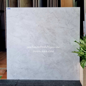 Gạch bóng kính sale 60x60 màu xám nhạt