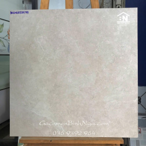 Gạch Viglacera 60x60cm đá mờ 6602BN