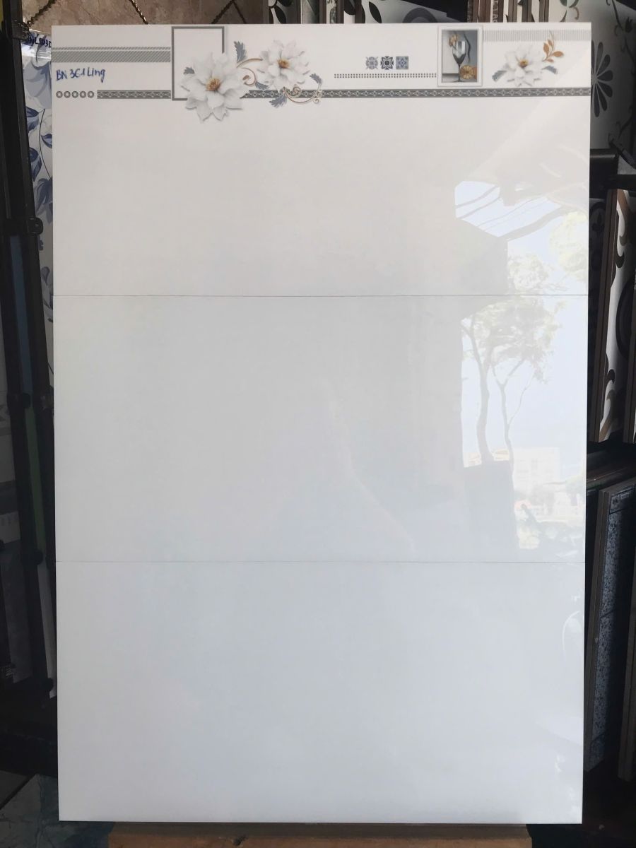 gạch bóng kính 30x60 361NLP