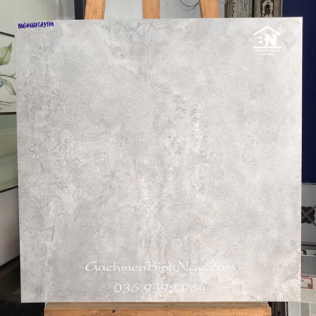 CA3-6601 viglacera